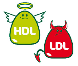 ldl-cholesterol